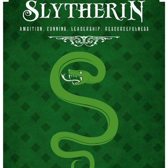 NWT Harry Potter 2 Pk Slytherin House Boxer Briefs - Picture 5 of 5